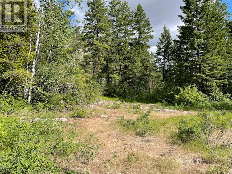 268 Grizzly Road, Osoyoos, BC, V0H 1V6 - 12