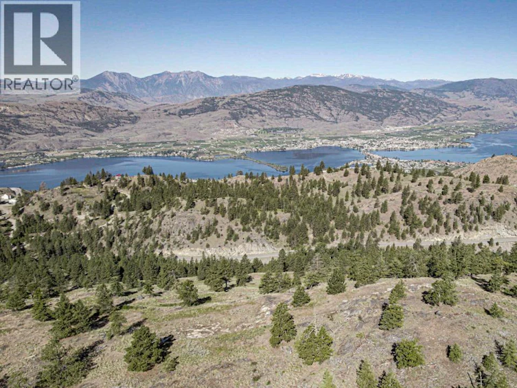 268 Grizzly Road, Osoyoos, BC, V0H 1V6 - 49
