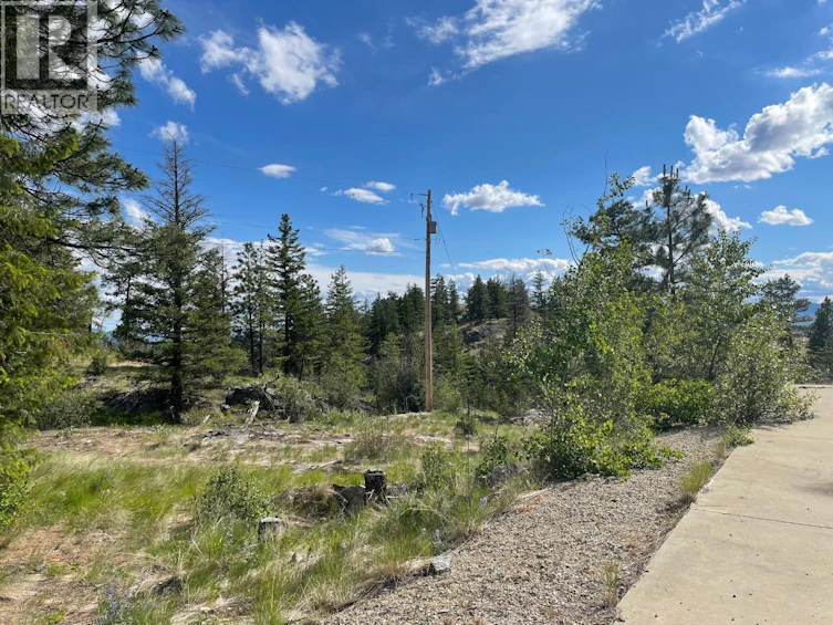 268 Grizzly Road, Osoyoos, BC, V0H 1V6 - 8