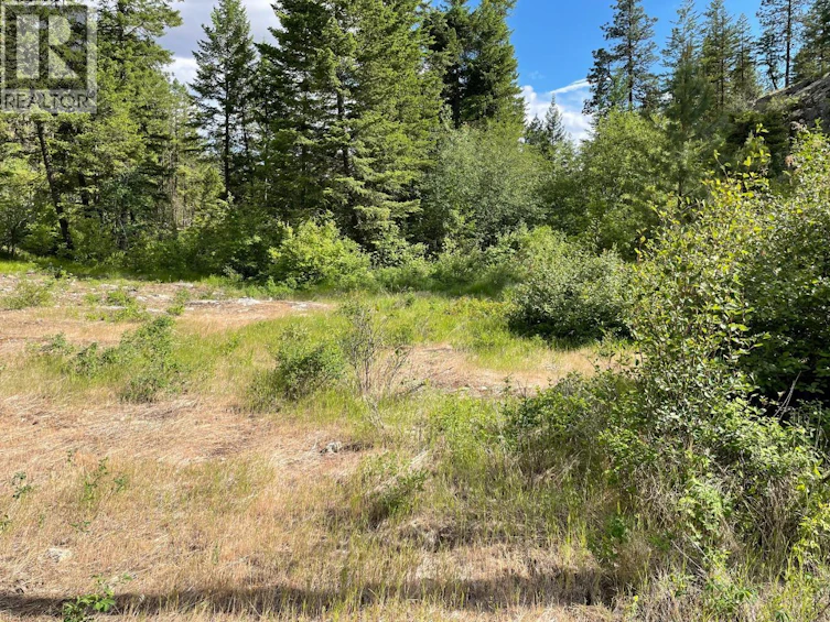 268 Grizzly Road, Osoyoos, BC, V0H 1V6 - 13