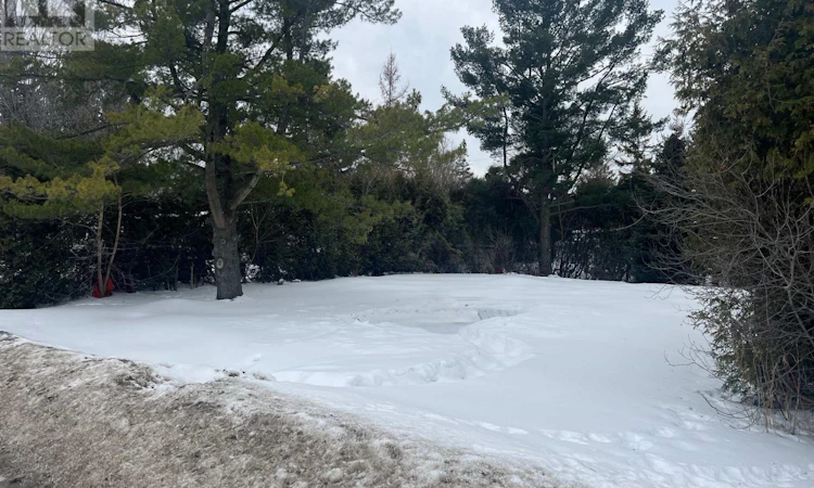 7 Fringewood Drive