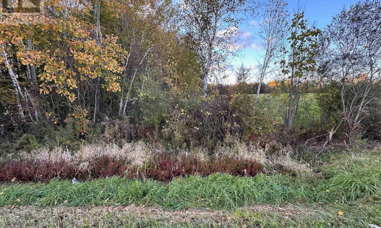 1667 County 20 Road Road