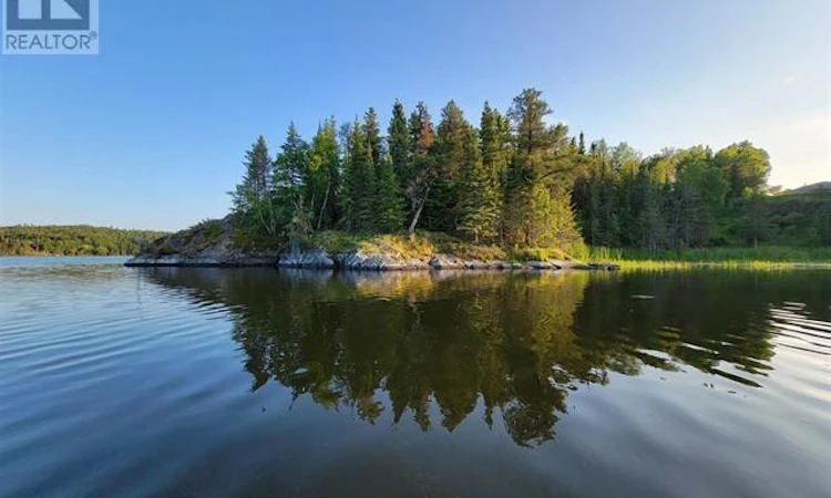 1319 Laurenson Lake