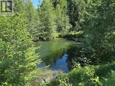 4399 Bird Creek Road - 5