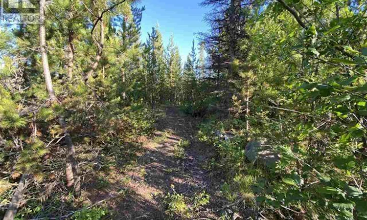 LOT-11 Evergreen Drive