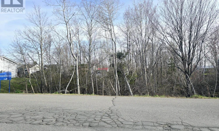Lot Belmont Avenue