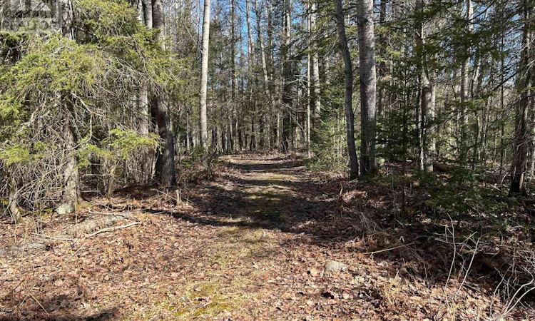 CON-9 Lot 17 534 Pt Highway