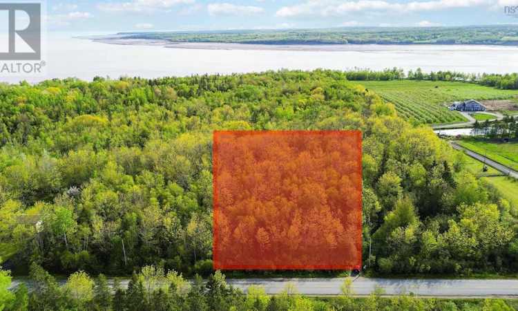 Lot-11 Bluff Road