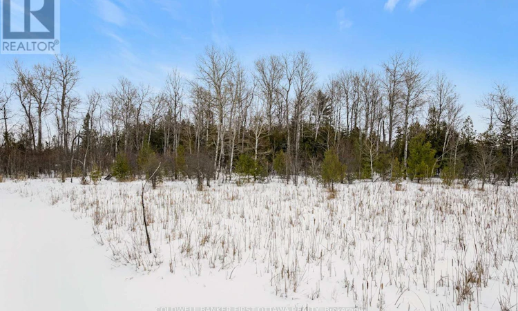 00 Wolf Grove Pt Lt 16 Rd Road