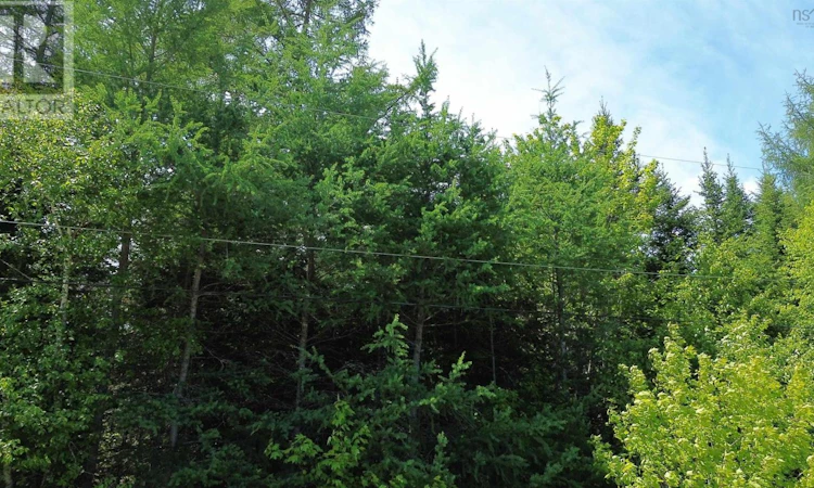 Lot-28 No 4 Highway