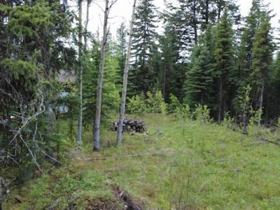 LOT-177 Faraway Road - 4