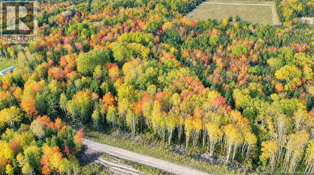 Lot 21-06 Haut Saint Antoine Road, St. Antoine, NB, E4V 3B3