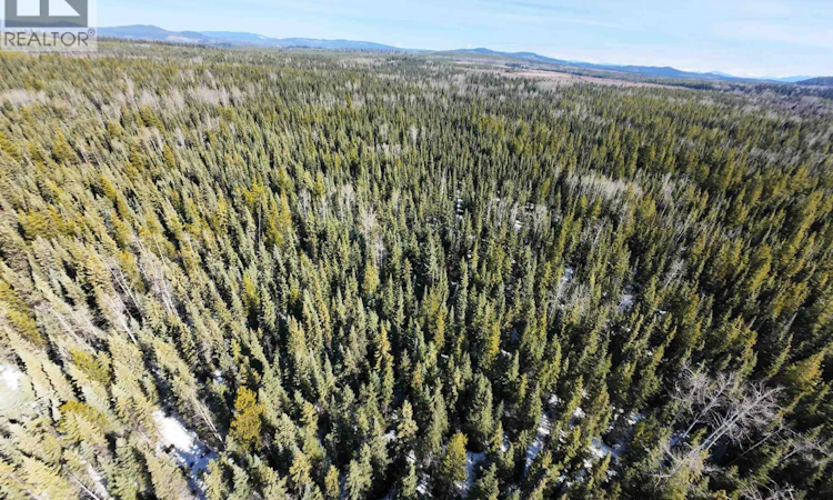 DL2743 Beaver Forest Service Road