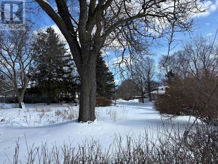 4 Sherwood Drive, Guelph, ON, N1E 1R6 - 10