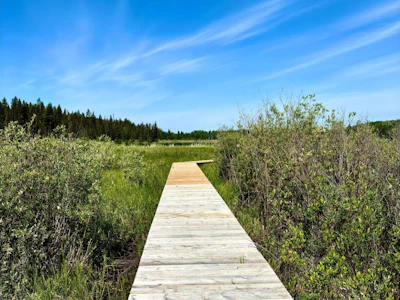 7550 High Country Road - 4