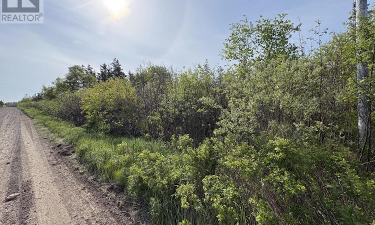 Lot-2 Shore Road