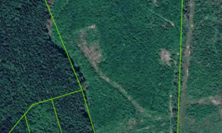 LOT-A Old Remo Road