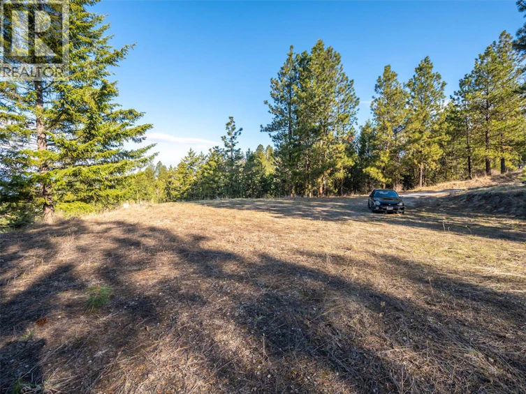 591 Sasquatch Trail, Osoyoos, BC, V0H 1V6 - 29