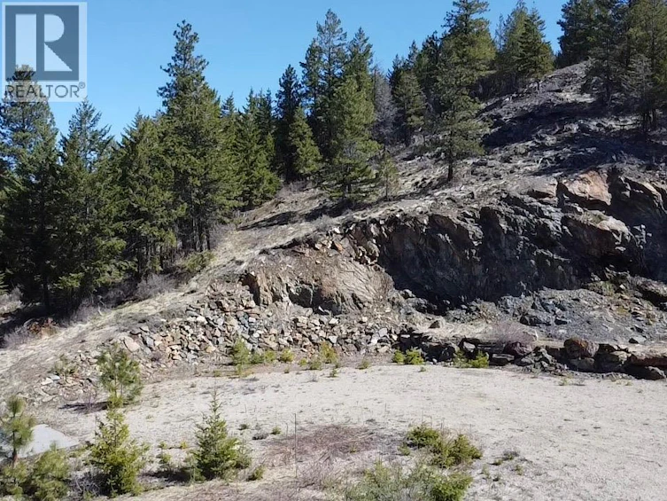 591 Sasquatch Trail, Osoyoos, BC, V0H 1V6 - 42