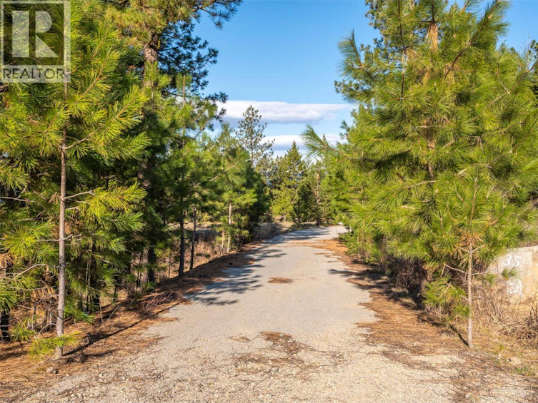 591 Sasquatch Trail, Osoyoos, BC, V0H 1V6 - 31