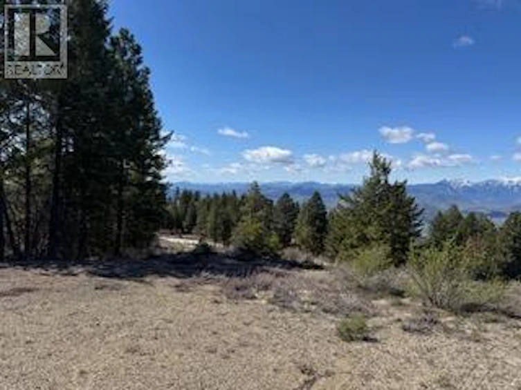 591 Sasquatch Trail, Osoyoos, BC, V0H 1V6 - 34