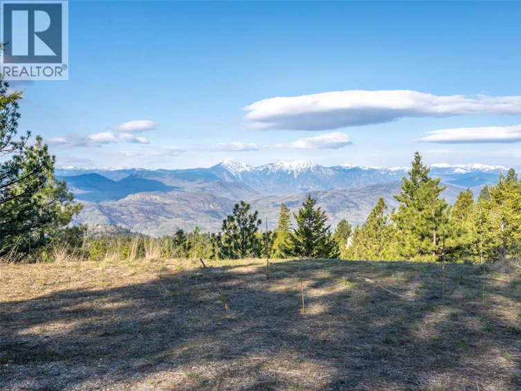 591 Sasquatch Trail, Osoyoos, BC, V0H 1V6 - 23