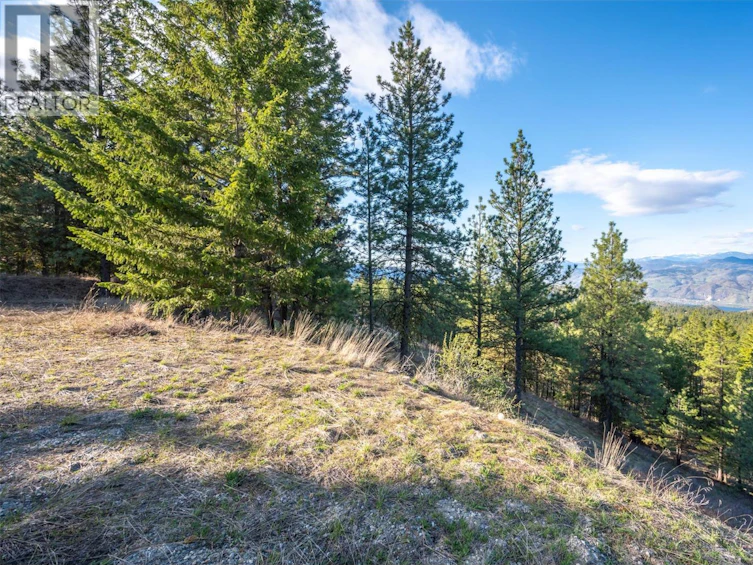 591 Sasquatch Trail, Osoyoos, BC, V0H 1V6 - 26