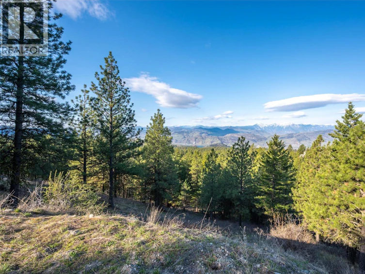 591 Sasquatch Trail, Osoyoos, BC, V0H 1V6 - 27