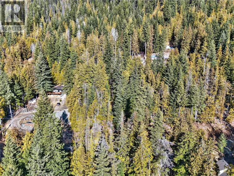 Lot 151-151 Vickers Trail, Anglemont, BC, V0E 1M8 - 6