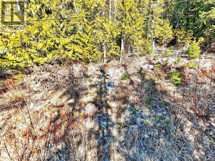 Lot 151-151 Vickers Trail, Anglemont, BC, V0E 1M8 - 27