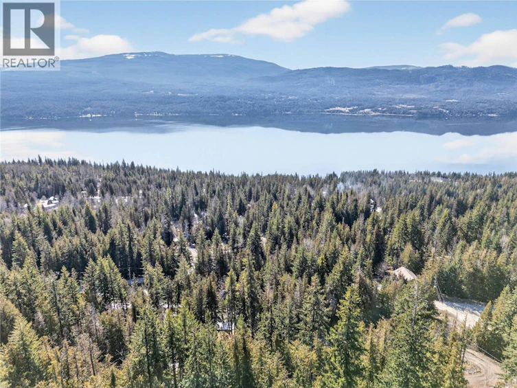 Lot 151-151 Vickers Trail, Anglemont, BC, V0E 1M8 - 11