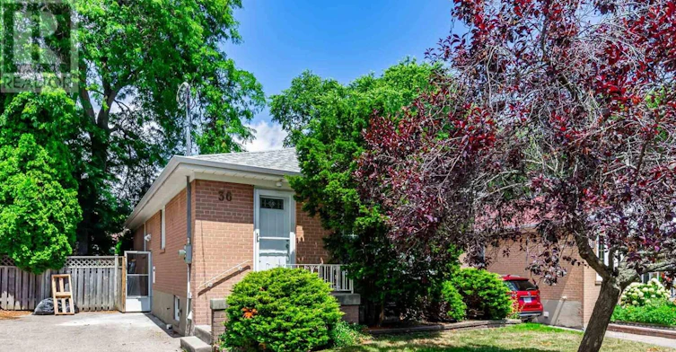 MAIN-36 Par Avenue, Toronto, ON, M1G 2G4