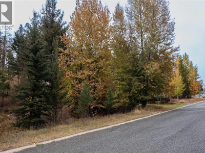 339 Poplar Drive - 5