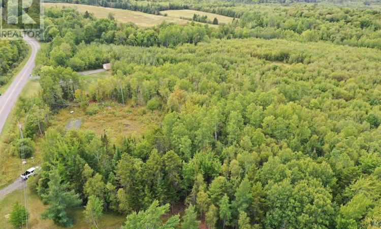19 Acres+ Wallace Road