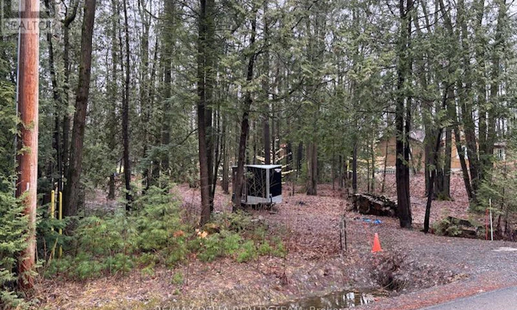 LOT-2 Concession 5 Road