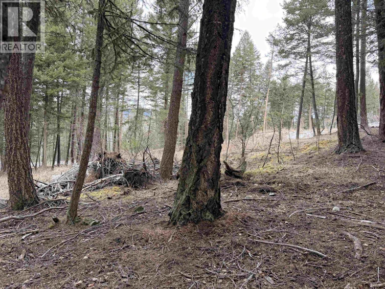 LOT-41 Kallum Drive, 100 Mile House, BC, V0K 2Z0 - 6