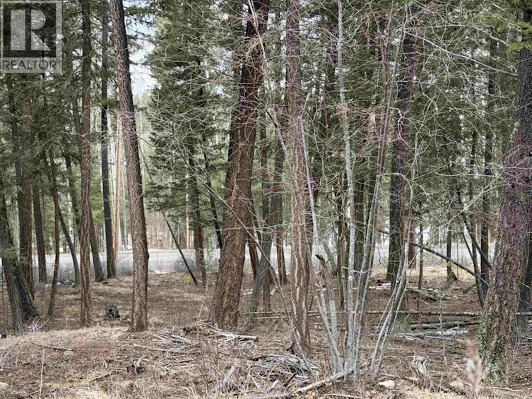 LOT-41 Kallum Drive, 100 Mile House, BC, V0K 2Z0 - 9