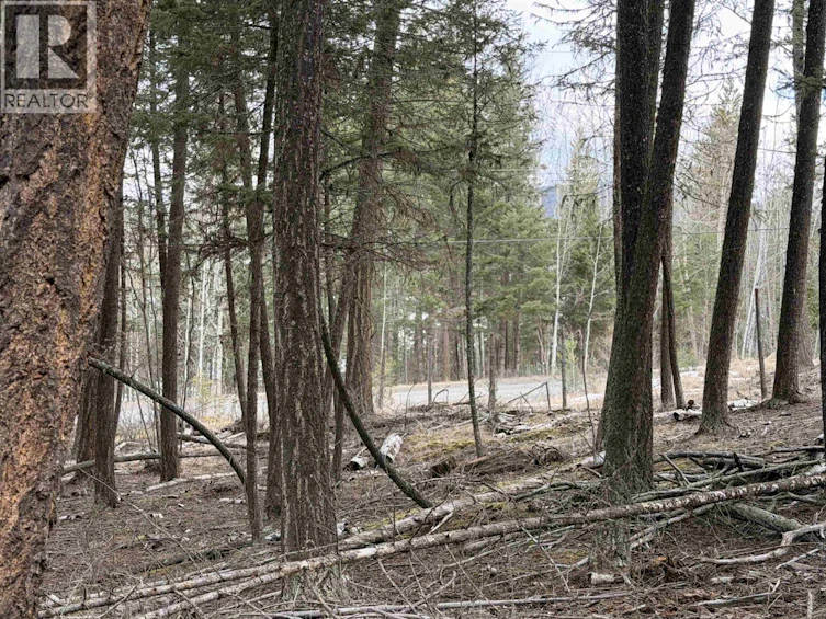 LOT-41 Kallum Drive, 100 Mile House, BC, V0K 2Z0 - 10