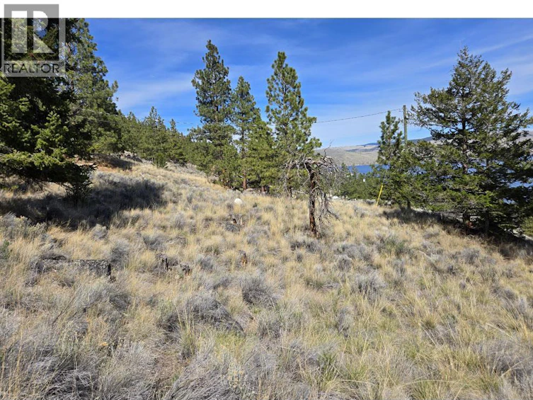 6403 Monck Park Road, Merritt, BC, V1K 0A1 - 20