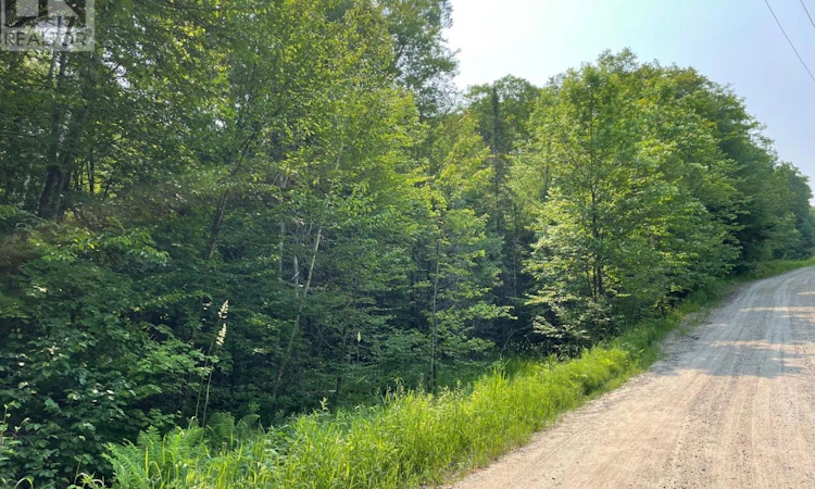 0 Coleman Lake Road