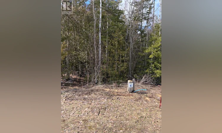 11 Lakeside Woods Crescent