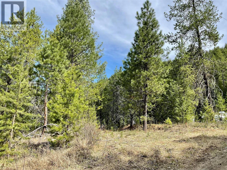 451 Ponderosa Lane, Greenwood, BC, V0H 1J0 - 6