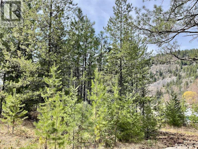 451 Ponderosa Lane - 2
