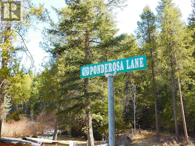 451 Ponderosa Lane - 2