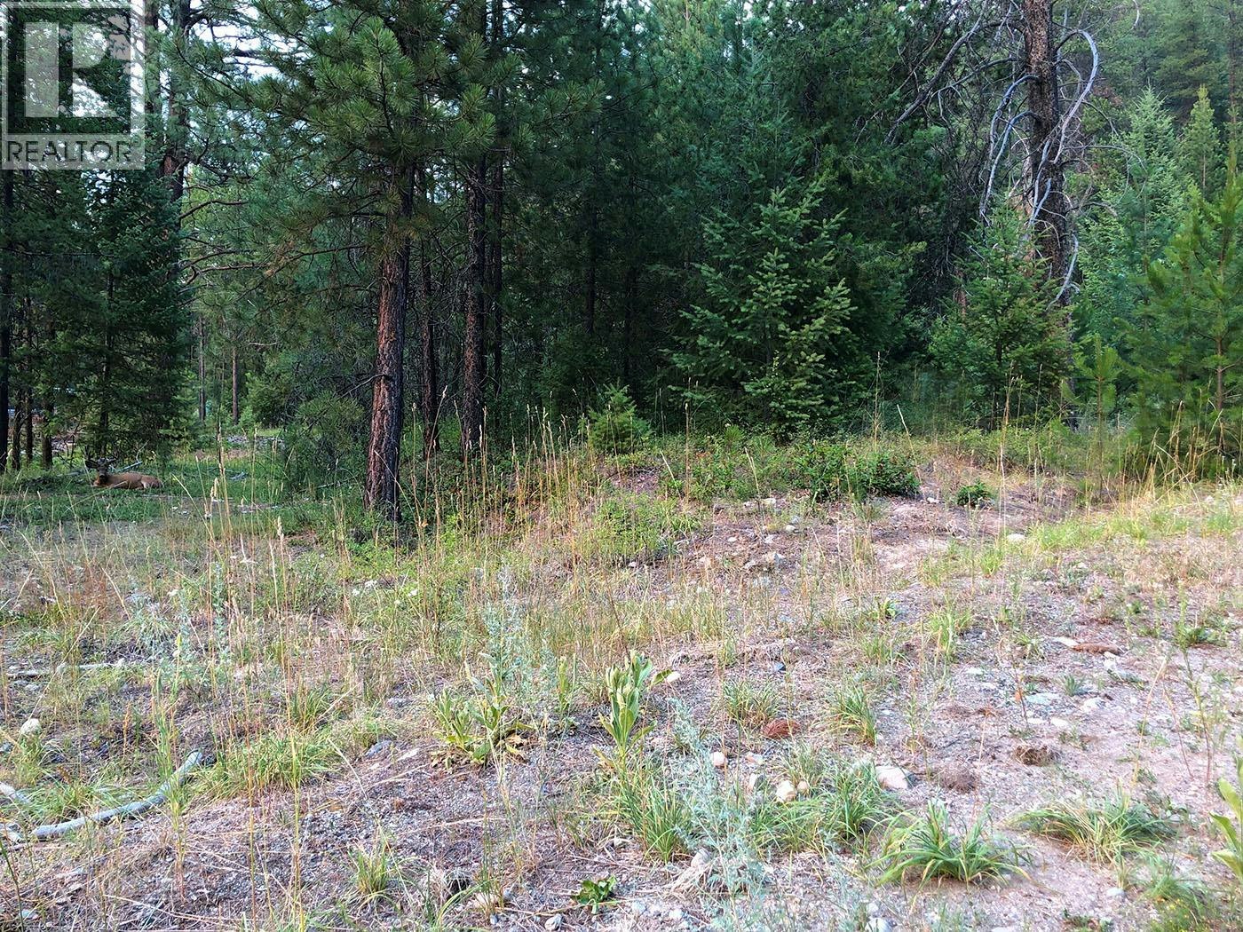 451 Ponderosa Lane - 5