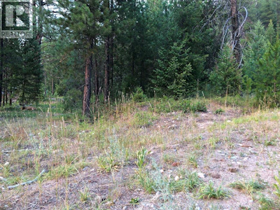 451 Ponderosa Lane - 5