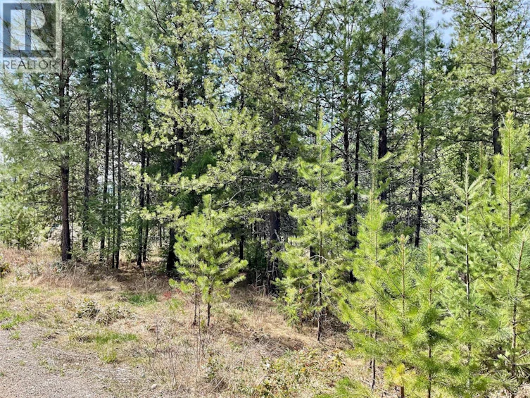 451 Ponderosa Lane, Greenwood, BC, V0H 1J0 - 3