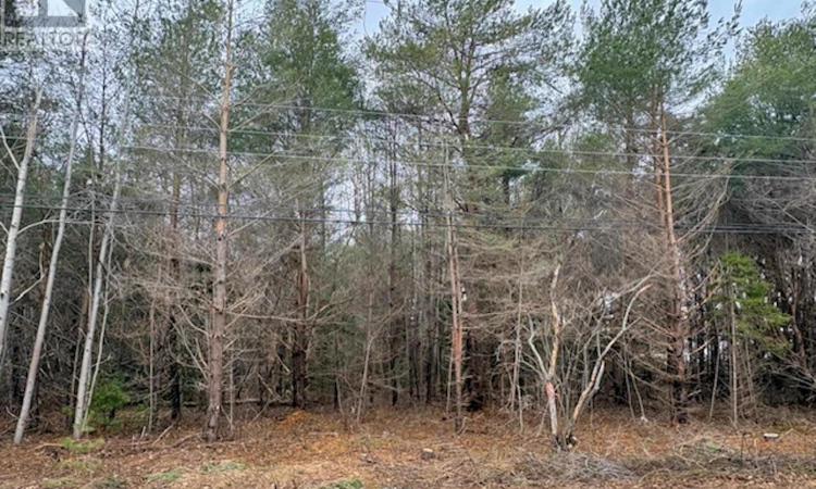 Lot-3 Wanda Lynn Drive