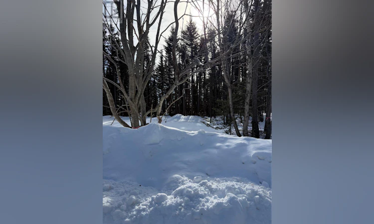 38 Spruce Grove Road