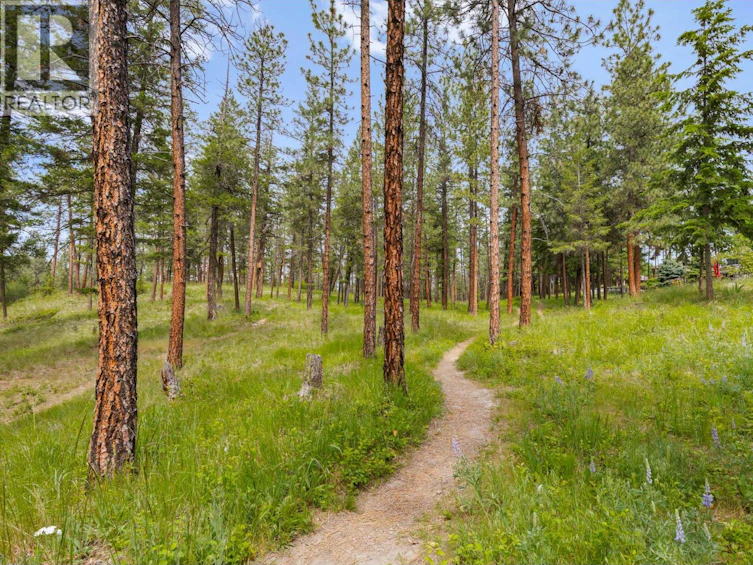 4158 S Gallaghers Forest, Kelowna, BC, V1W 5E4 - 51
